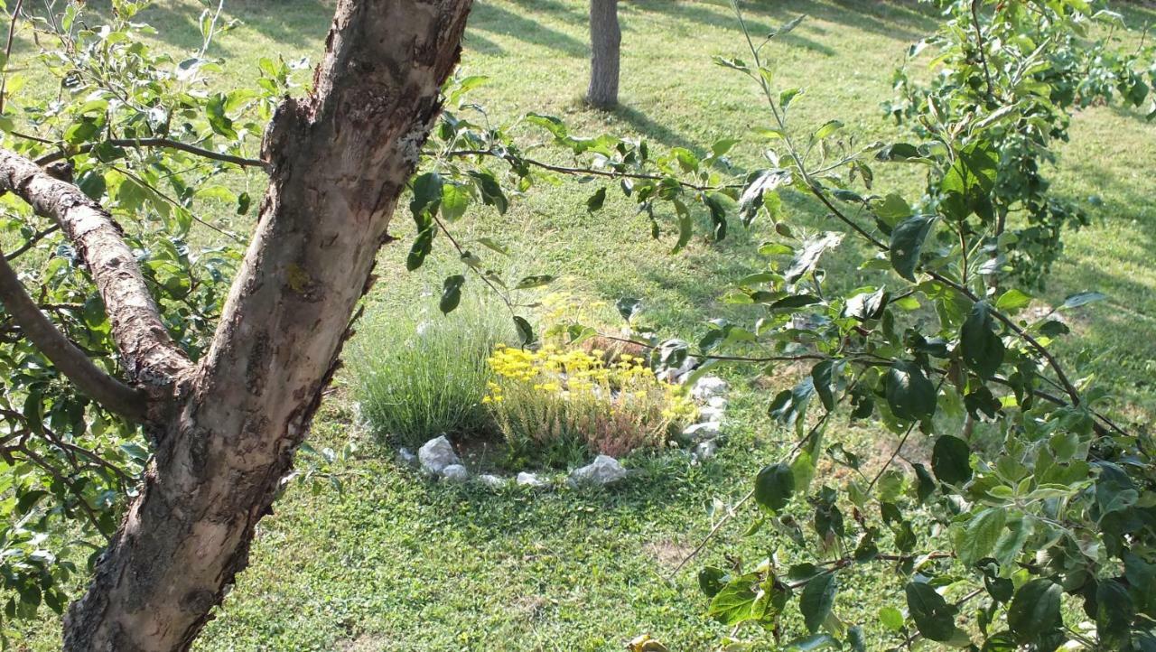 Guest House Ema Grabovac  Exterior foto